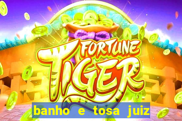 banho e tosa juiz de fora